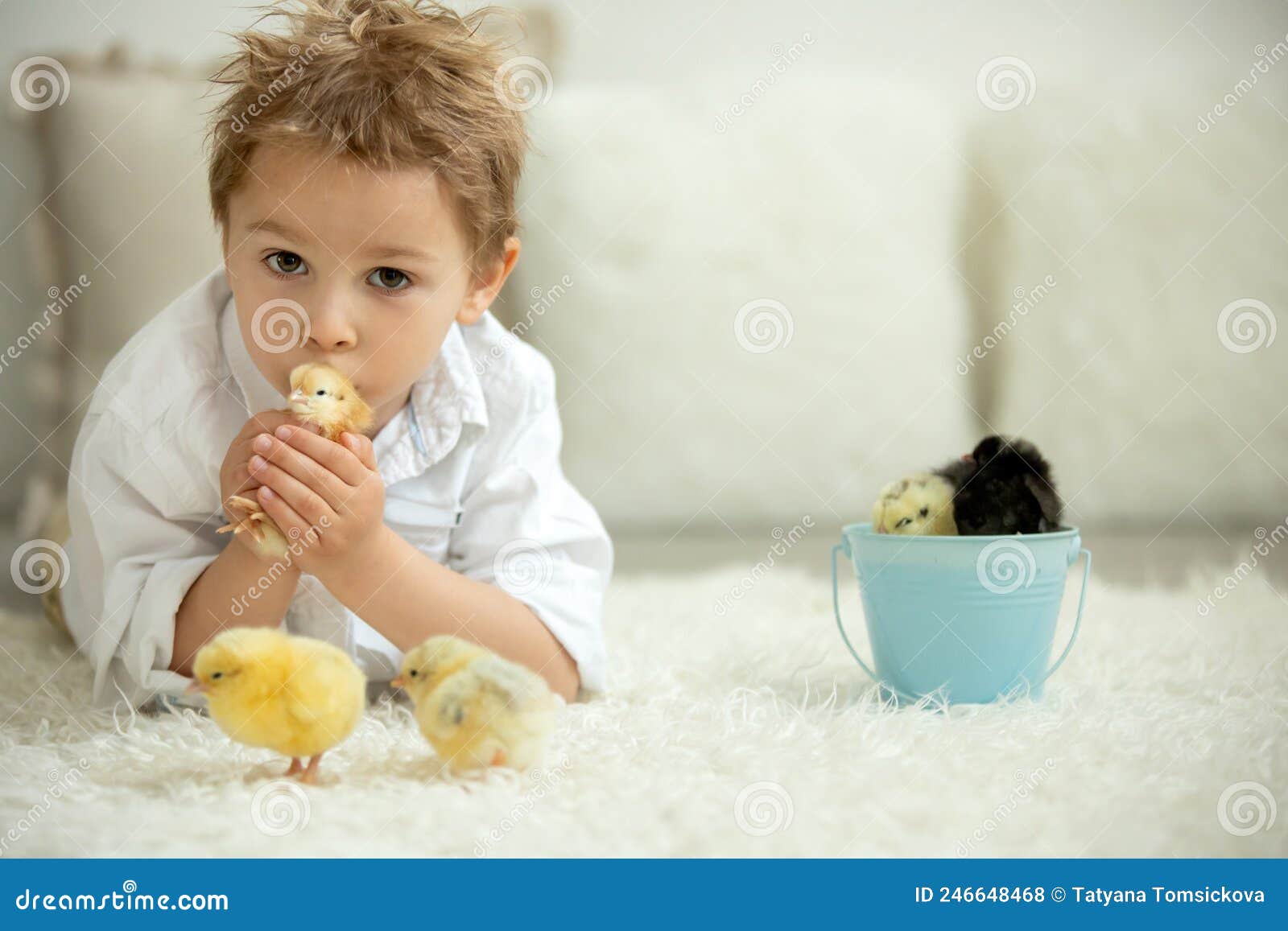 Cute Child at Home with Little Newborn Chicks, Enjoying, Cute Kid and ...