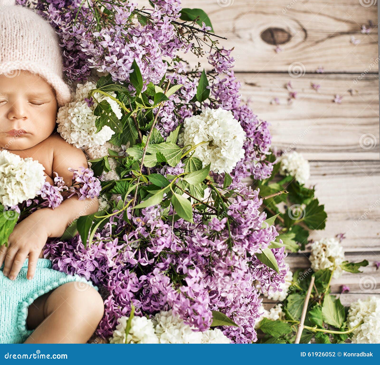 Cute Child Sleeping on the Flowers Stock Photo Image of newborn, cute
