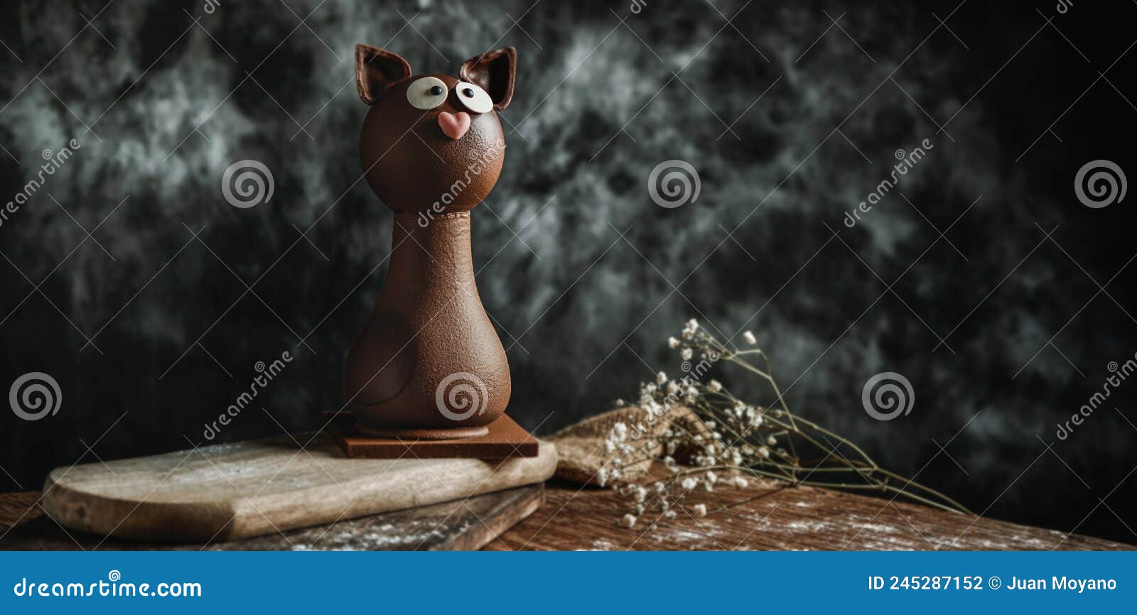 chocolate cat as a mona de pascua, web banner