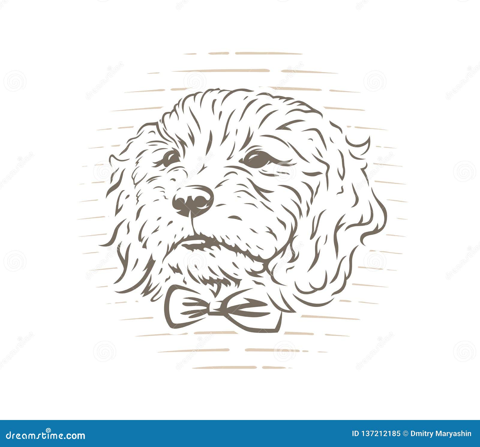 Cockapoo Cartoons, Illustrations & Vector Stock Images - 58 Pictures to