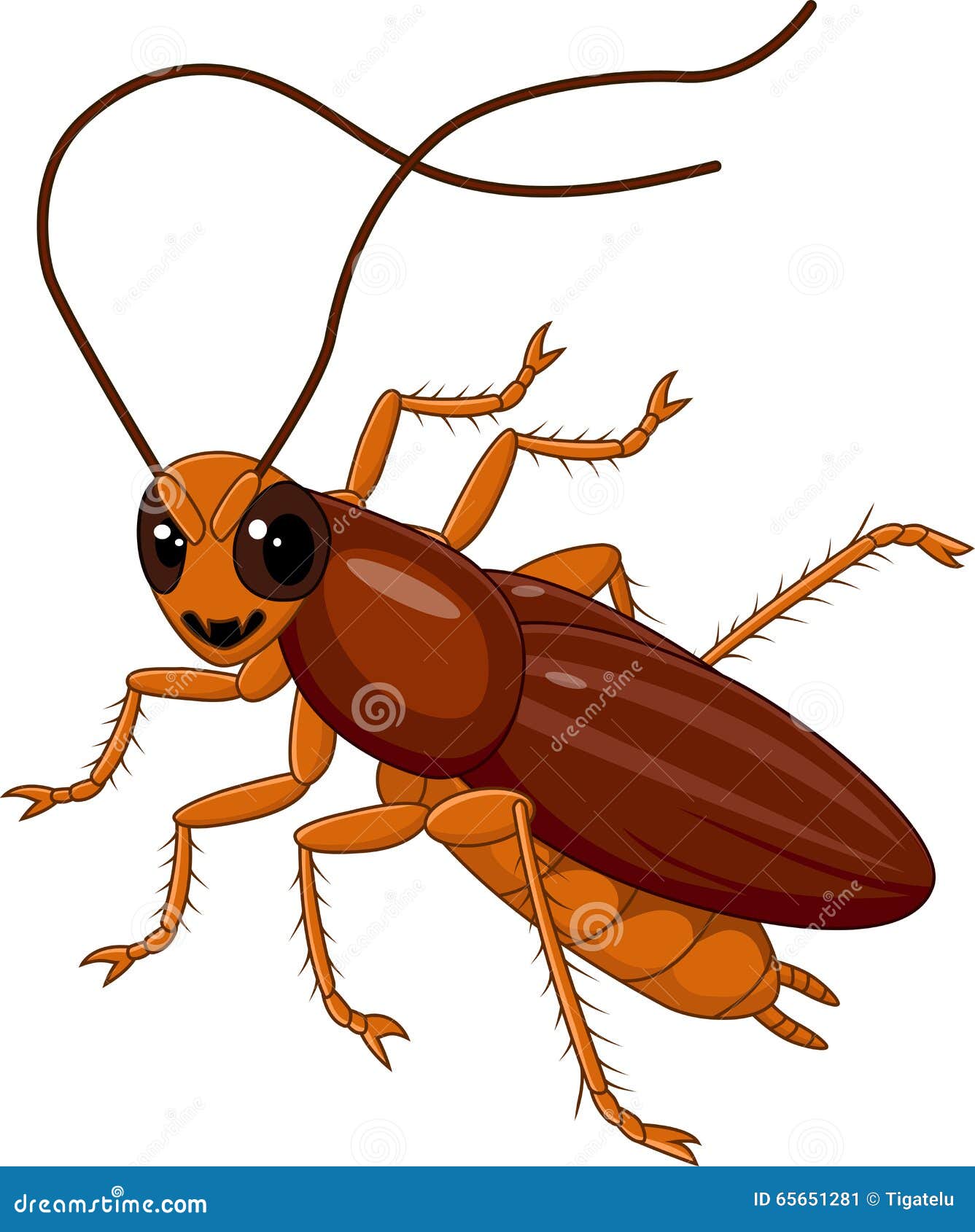 Cute Cockroach Isolated on White Background Stock Vector - Illustration ...