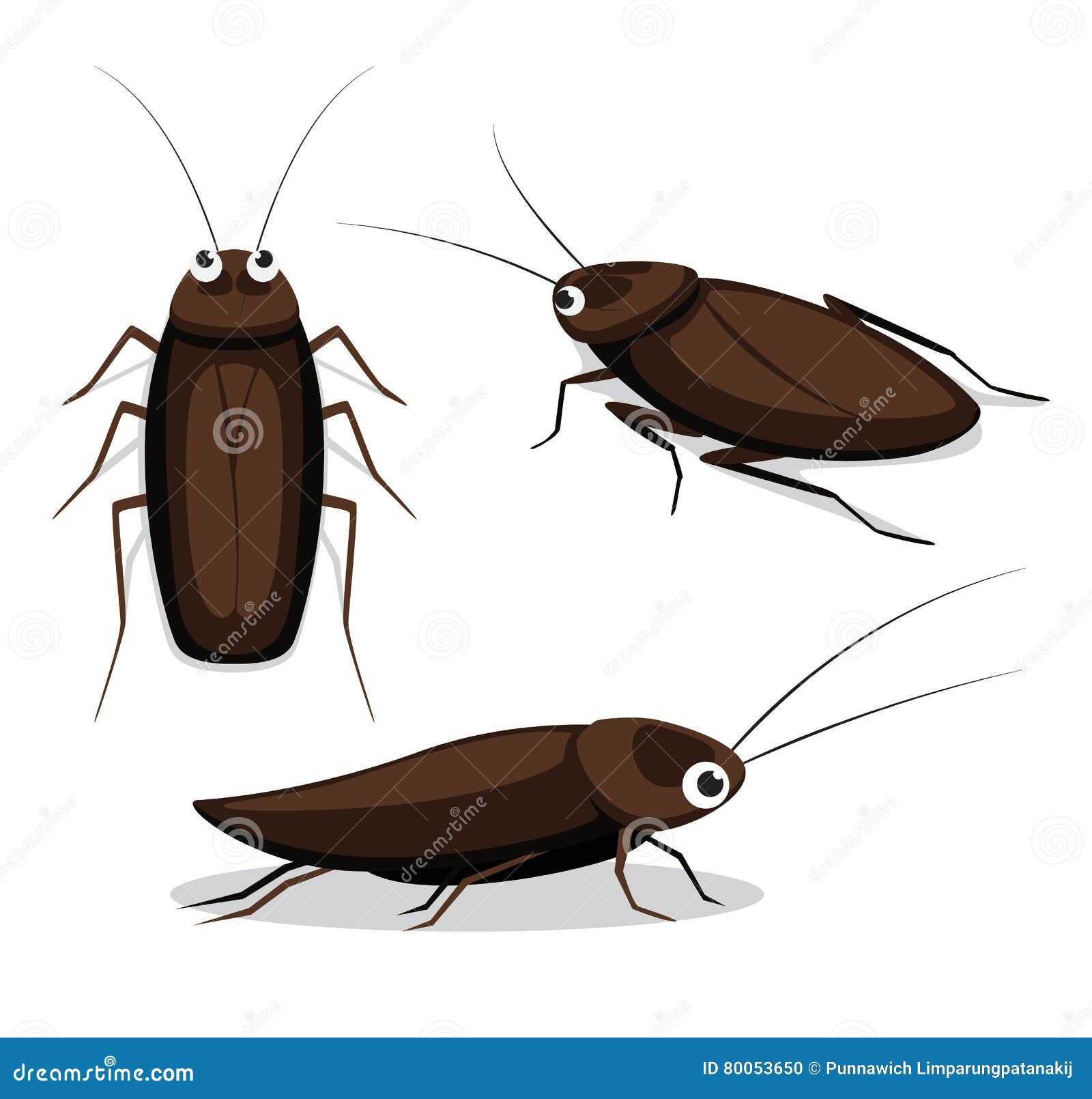 Cute Cockroach Poses Cartoon Vector Illustration Stock Vector ...