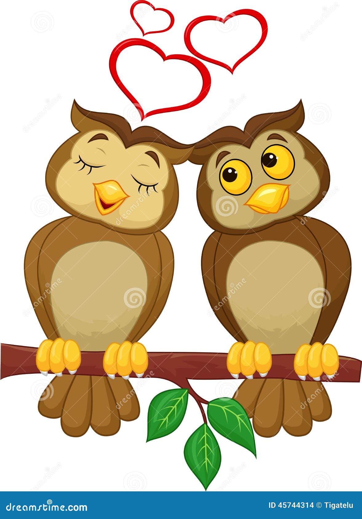 owl couple clipart - photo #36