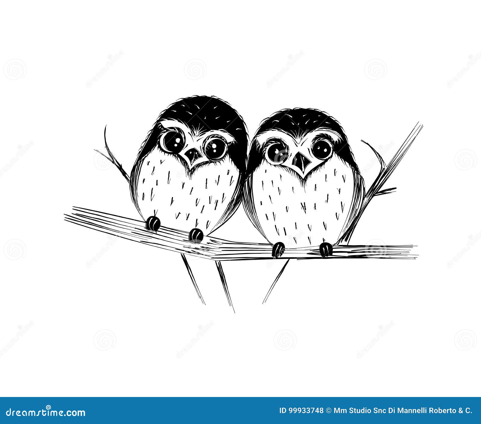 Cute Couple Of Owls On Branch Isolated On White Stock Vector
