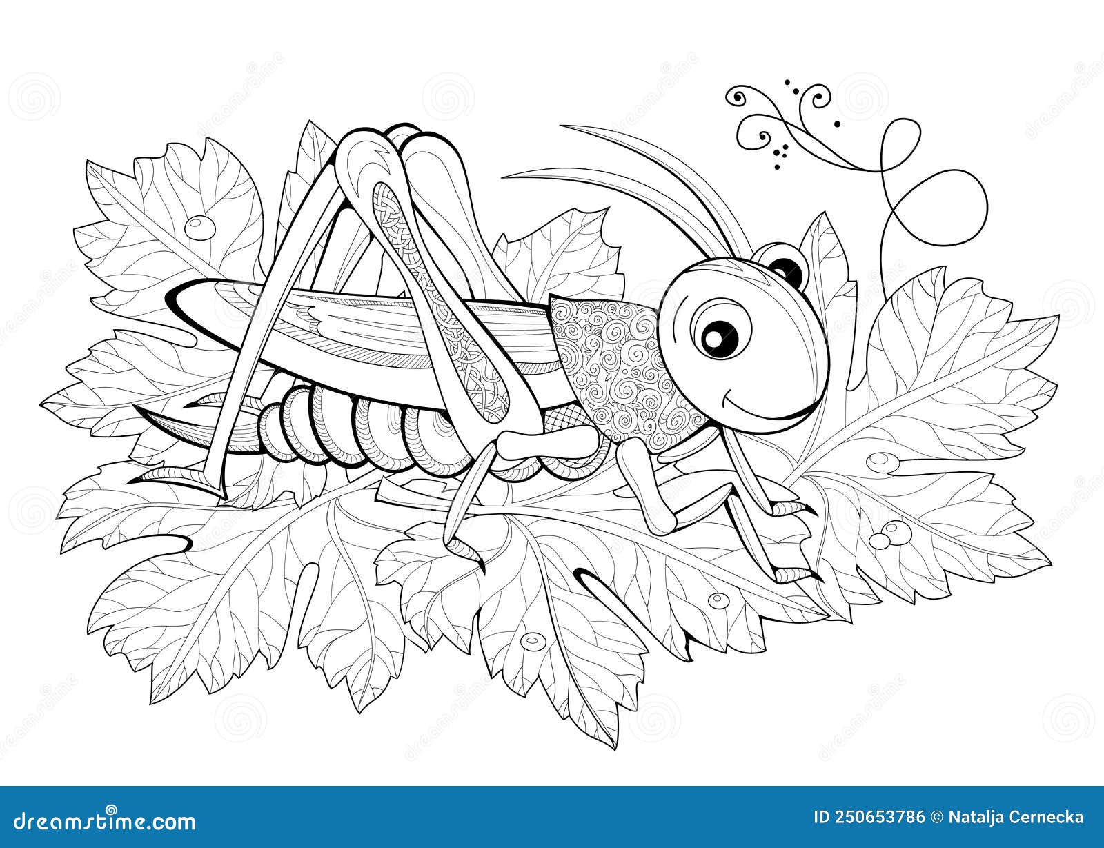 coloring pages cricket