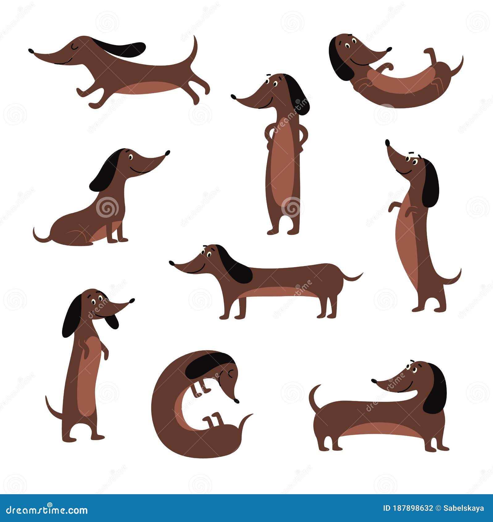 Cute Dachshund Dog Isolated Set - Cartoon Pet Sitting, Standing and Lying  Stock Vector - Illustration of brown, doggy: 187898632