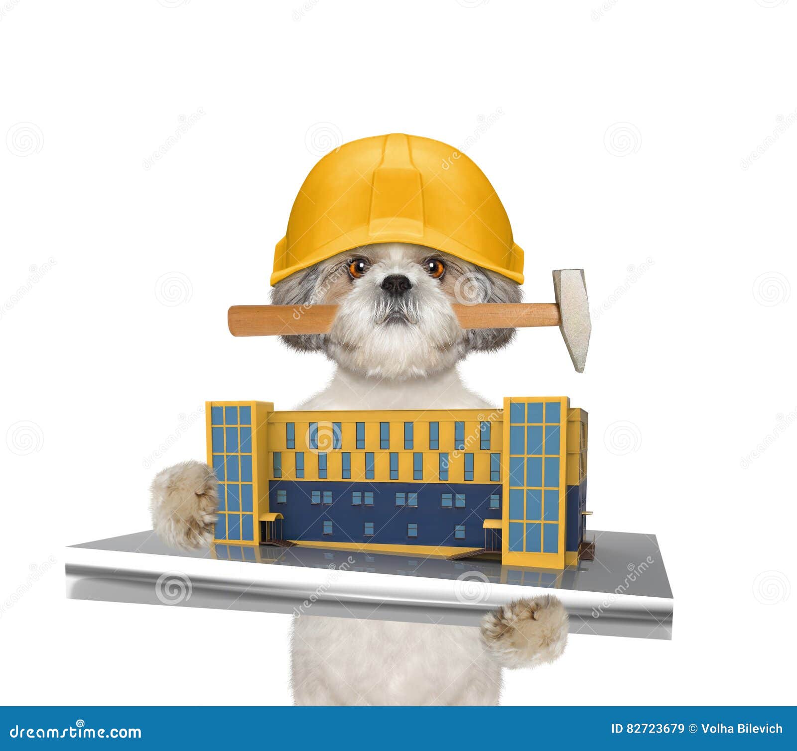 Cute Dog Builder Holding House Construction in Its Paws Stock Image