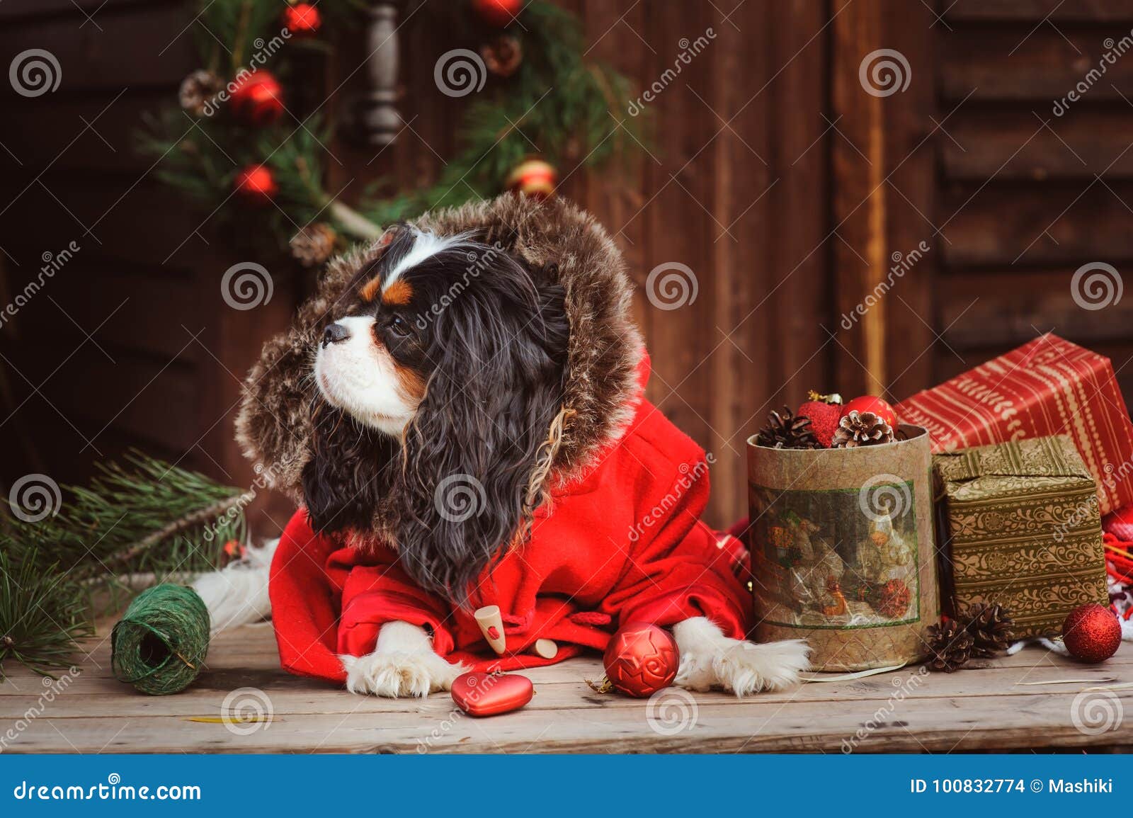 Cute dog celebrating Christmas and New Year with decorations and ts Chinese year of the dog