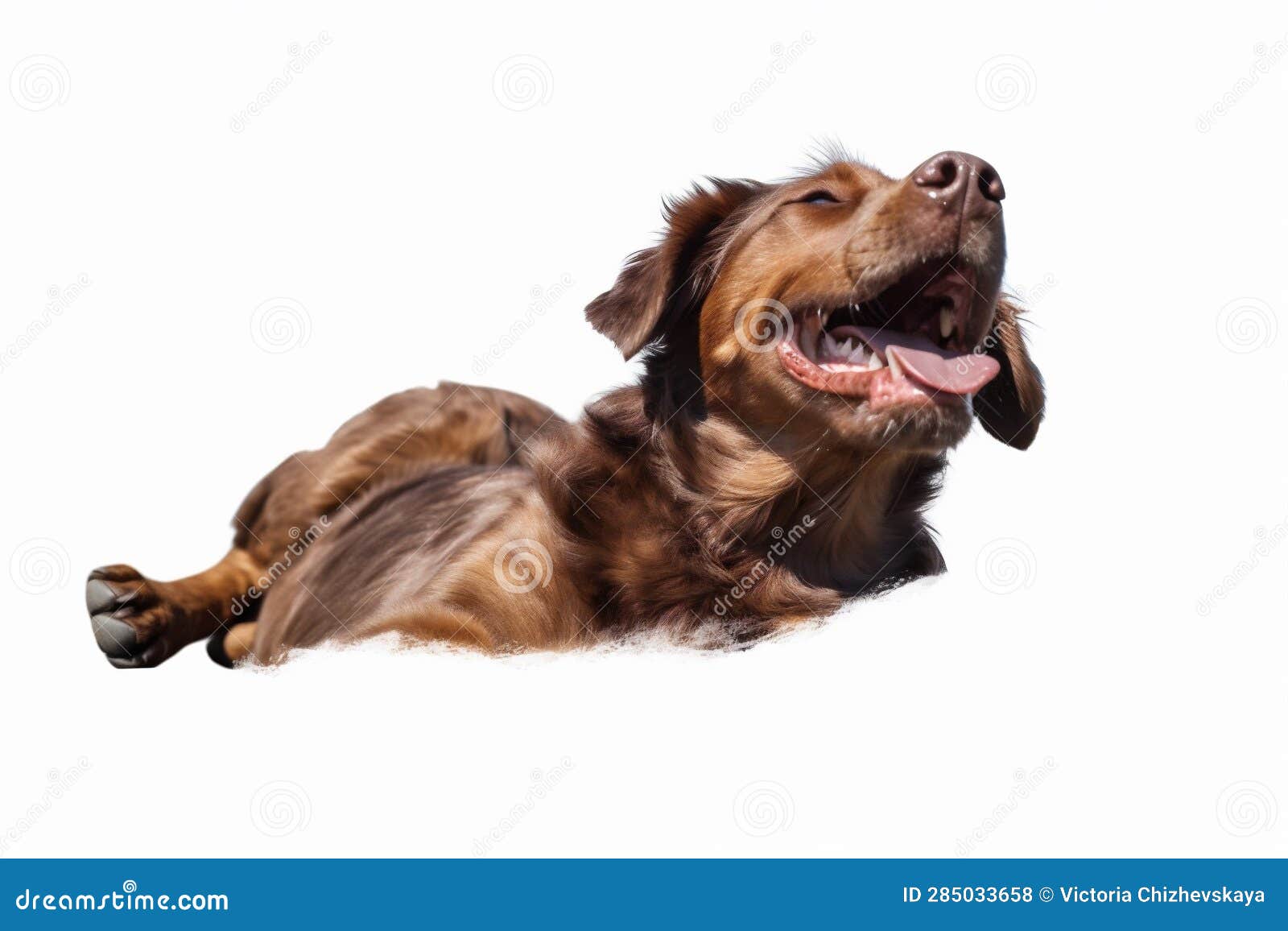 dog puppy cute pet background doggy purebred fly white jump animal. generative ai.