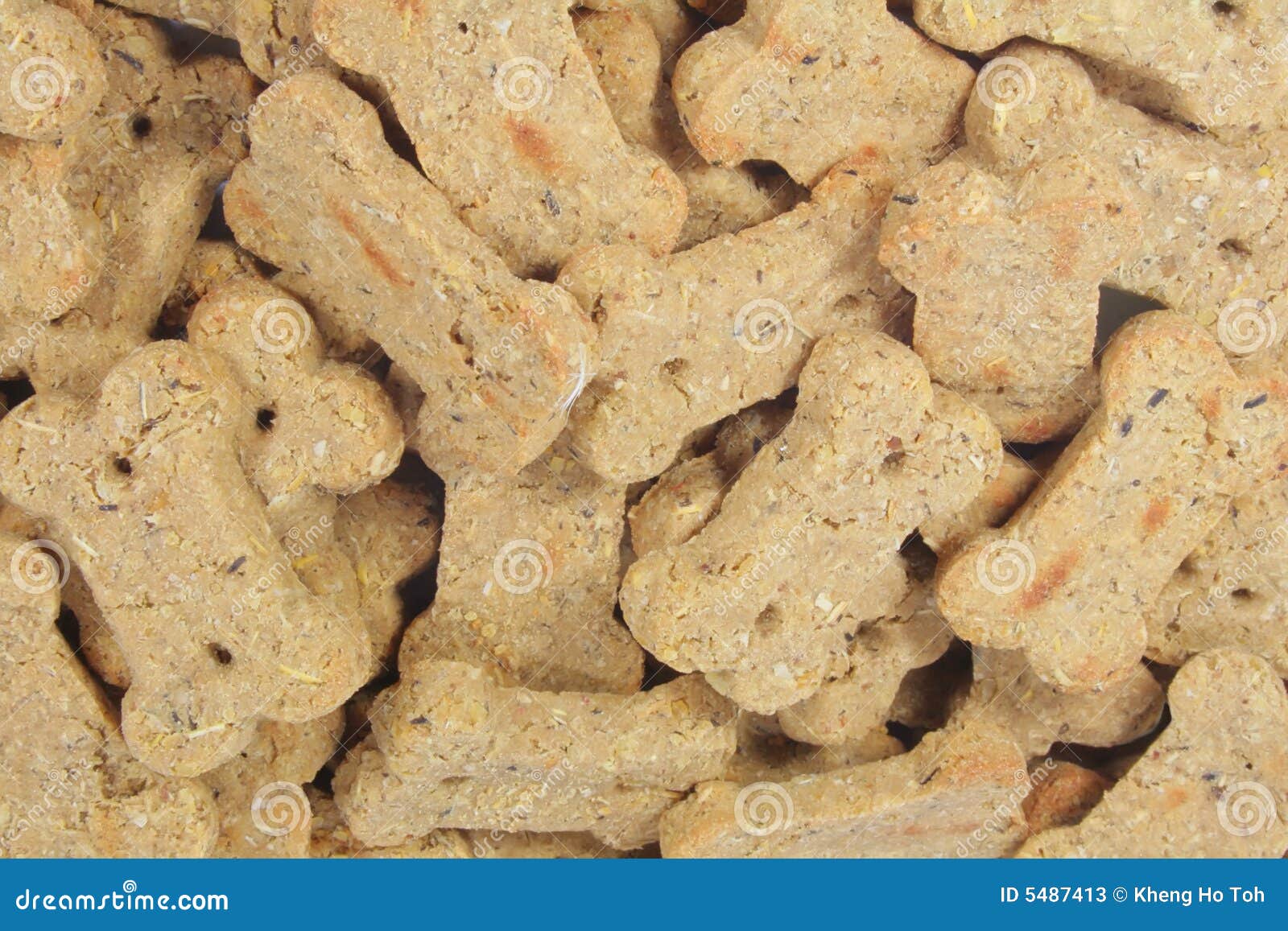 Cute Dog Snacks Shaped into a Bone Stock Image Image of biscuits