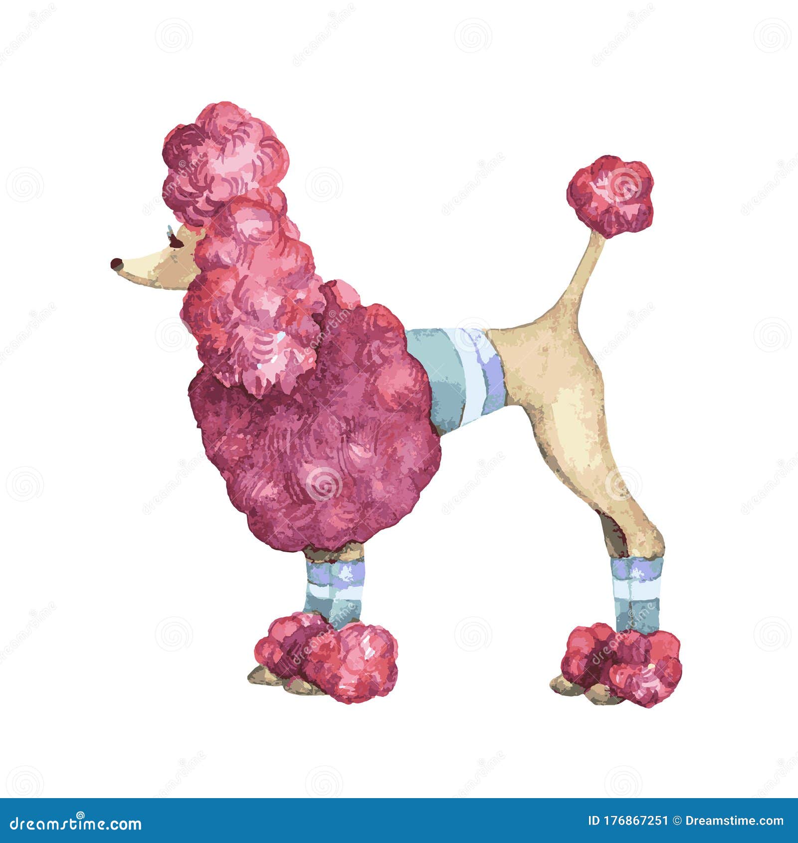 Cartoon French Poodle Stock Photos - Free & Royalty-Free Stock Photos from Dreamstime Cartoon French Poodle Stock Photos - Free & Royalty-Free Stock Photos from Dreamstime