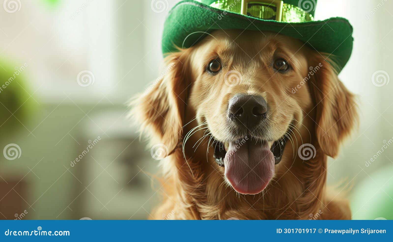 Cute Dogs with Leprechaun Hats, St. Patrick S Day Stock Image Image