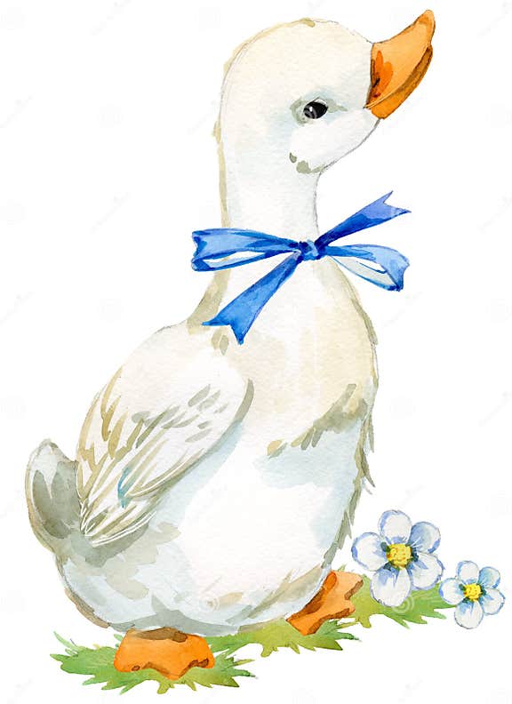 Cute Duck. Domestic Farm Bird Watercolor Illustration. Stock ...