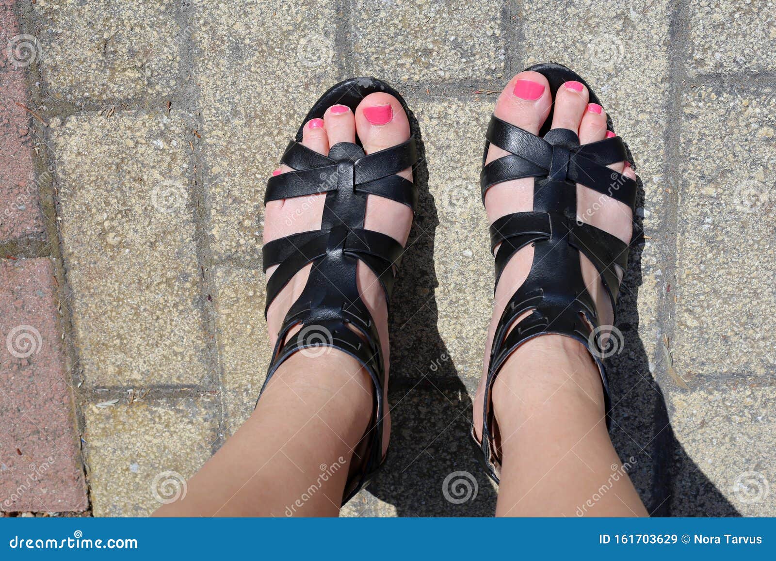 Cute Female Feet with Pink Toenails and Black Gladiator Sandals ...