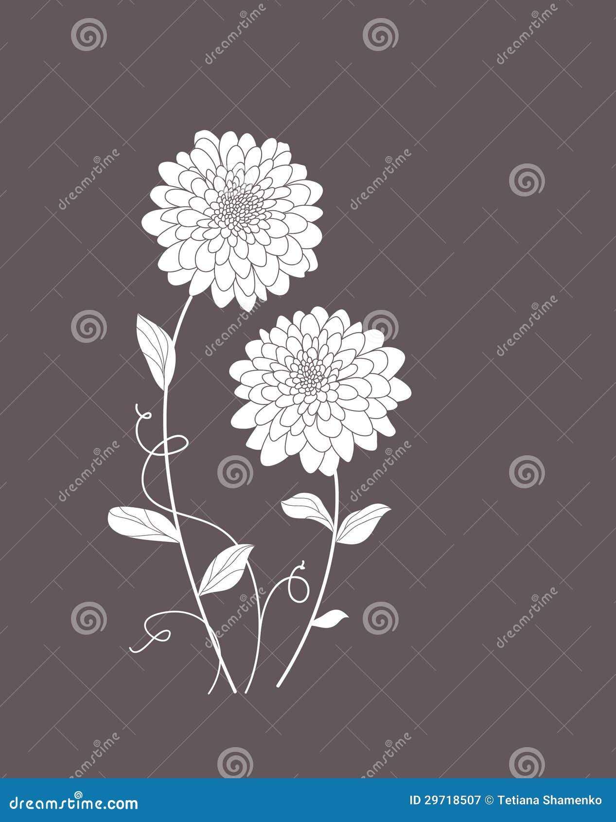 Cute floral card stock vector. Illustration of born, beauty 29718507