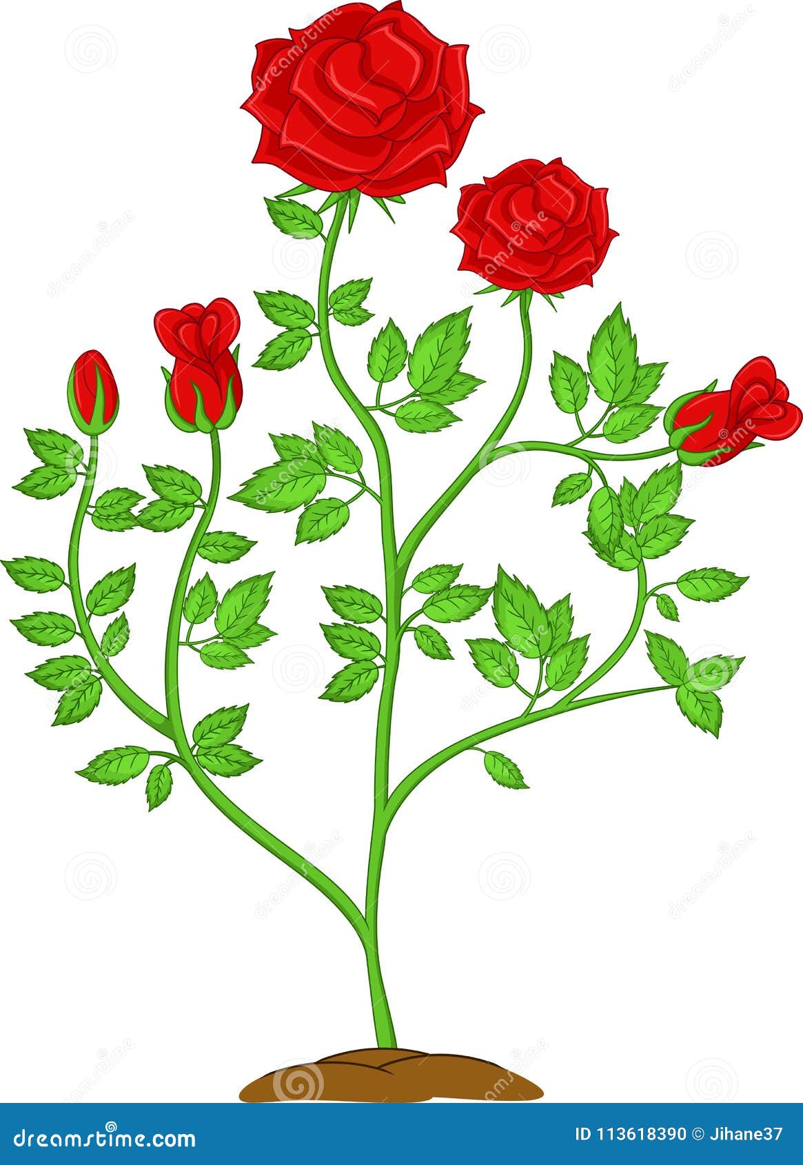 Cute Flower Rose Cartoon on White Background Stock Illustration -  Illustration of floral, clip: 113618390