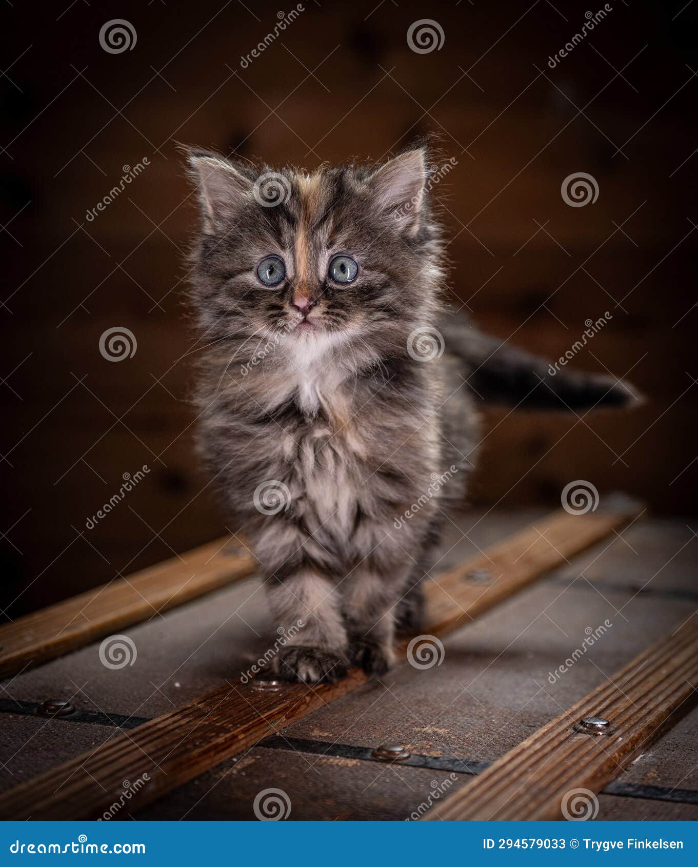 Cute Fluffy Teddy Bear And December Word Written On Wooden Stick With