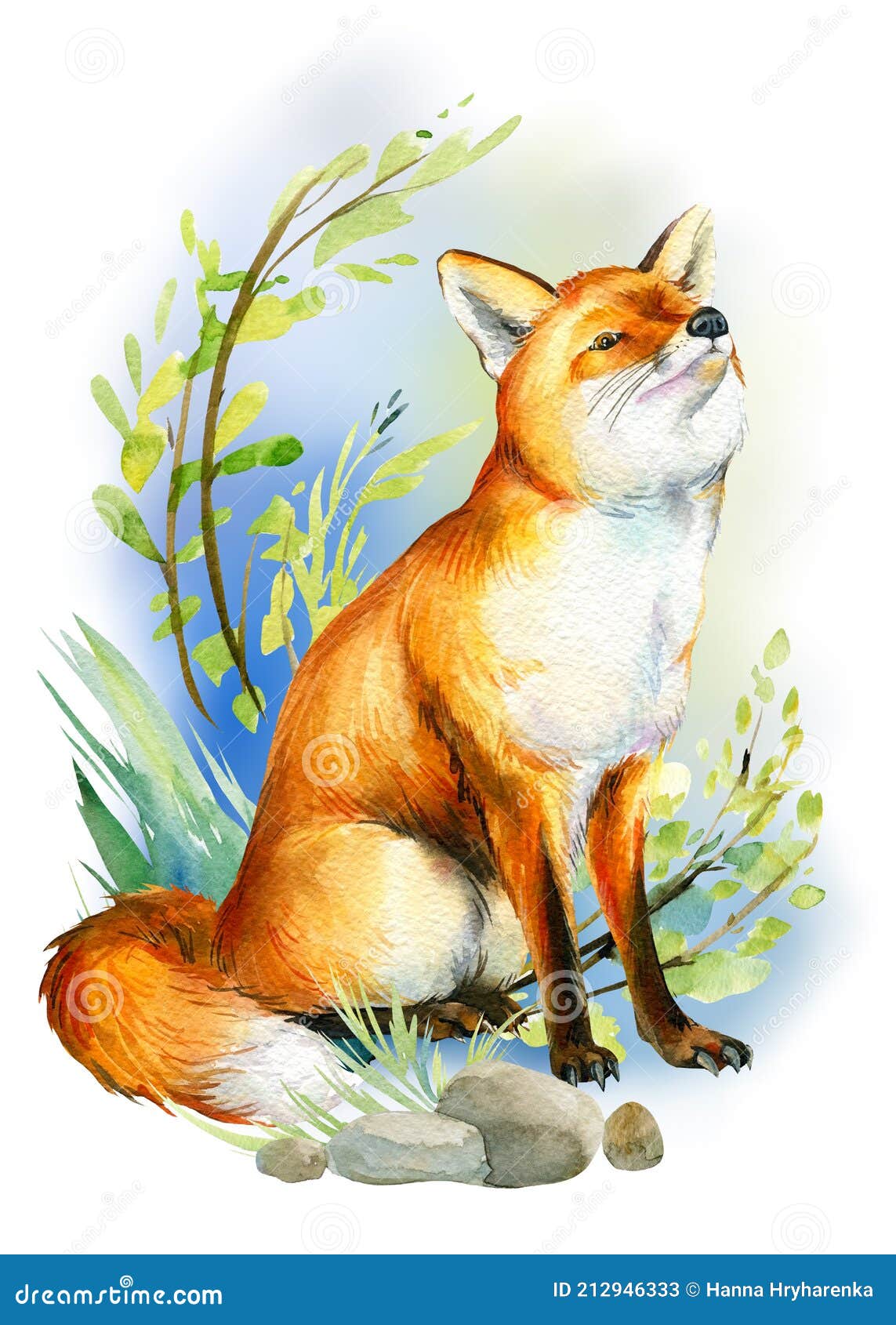 Cute Fox on Grass, Watercolor Drawing, Fluffy Animal Stock Image - Image of  baby, design: 212946333