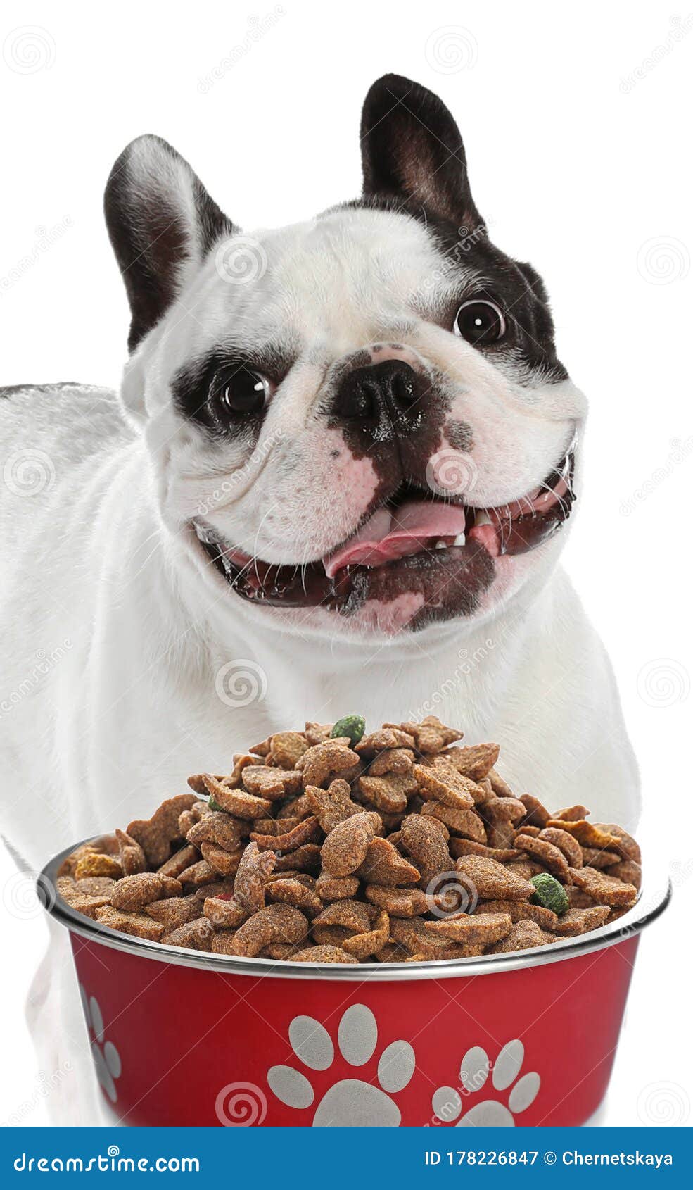 Cute French Bulldog And Feeding Bowl On Background Stock
