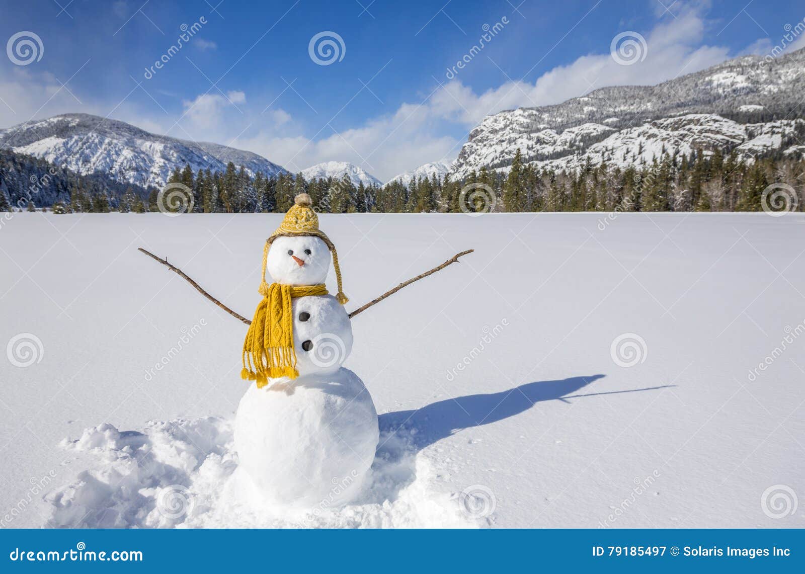 Cute Fun Snowman with Knit Hat and Scarf in Winter Landscape Snow Scene ...