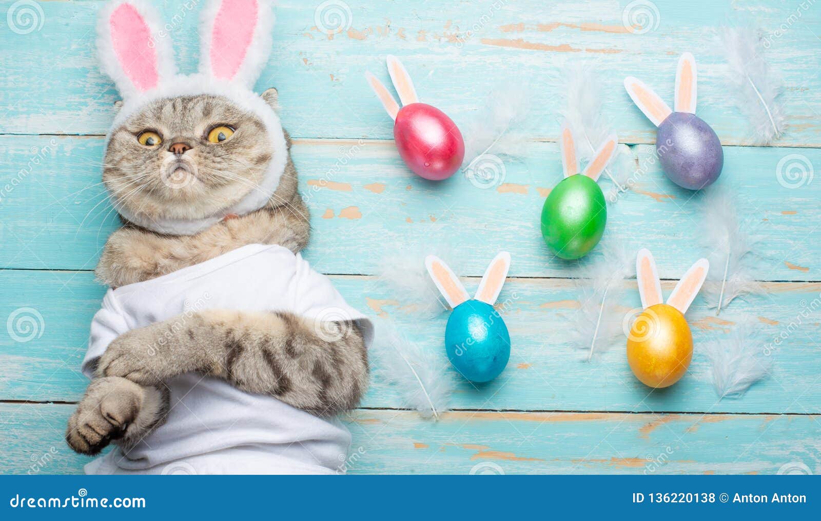 Cute Funny Beautiful Cat with Rabbit Ears, Easter Background with ...