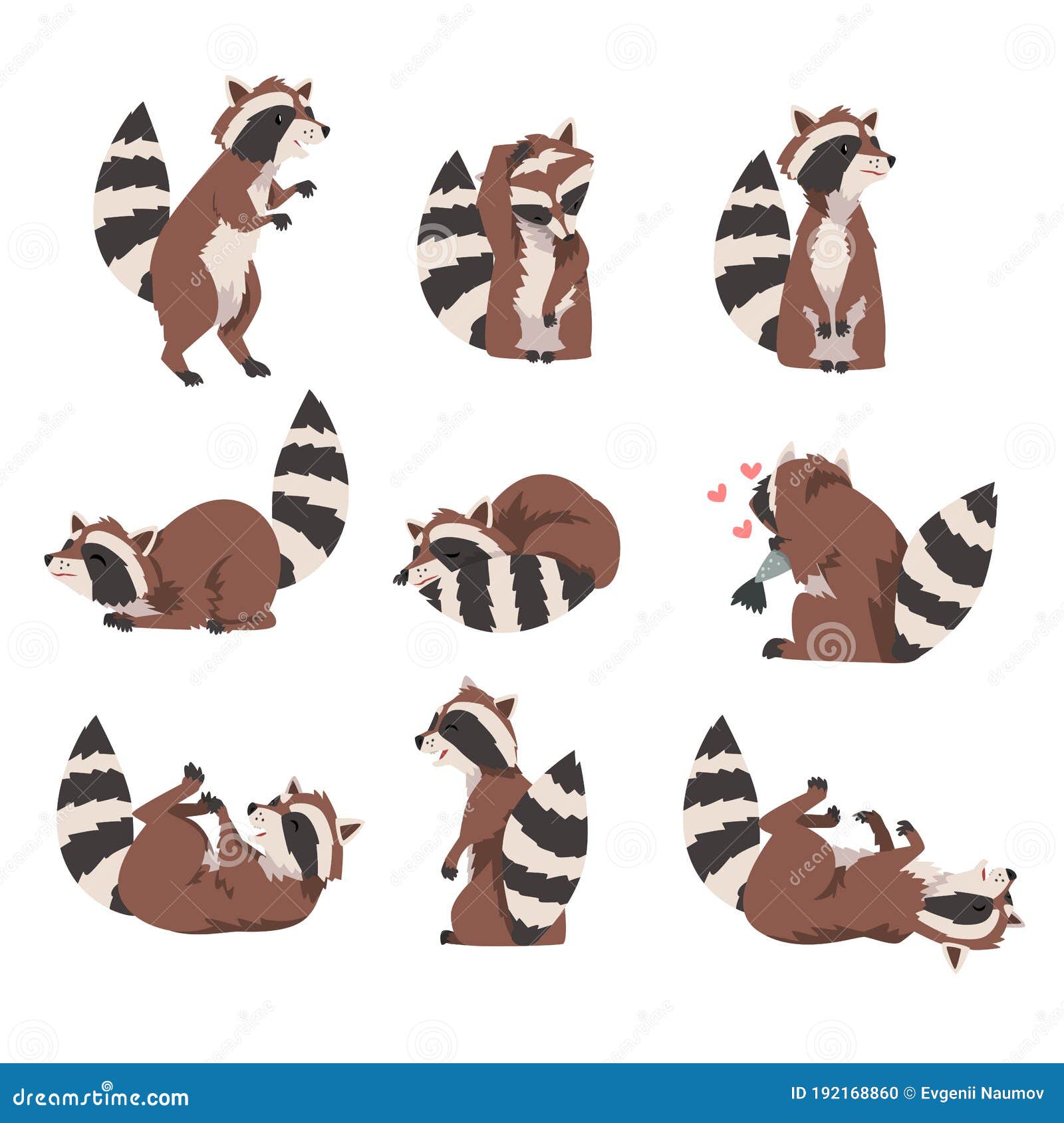 Cute Funny Raccoon Collection, Lovely Wild Furry Forest Animal Cartoon Character in Various Poses Vector Illustration Stock Vector - Illustration of cheerful, back: 192168860 Cute Funny Raccoon Collection, Lovely Wild Furry Forest Animal Cartoon Character in Various Poses Vector Illustration Stock Vector - Illustration of cheerful, back: 192168860