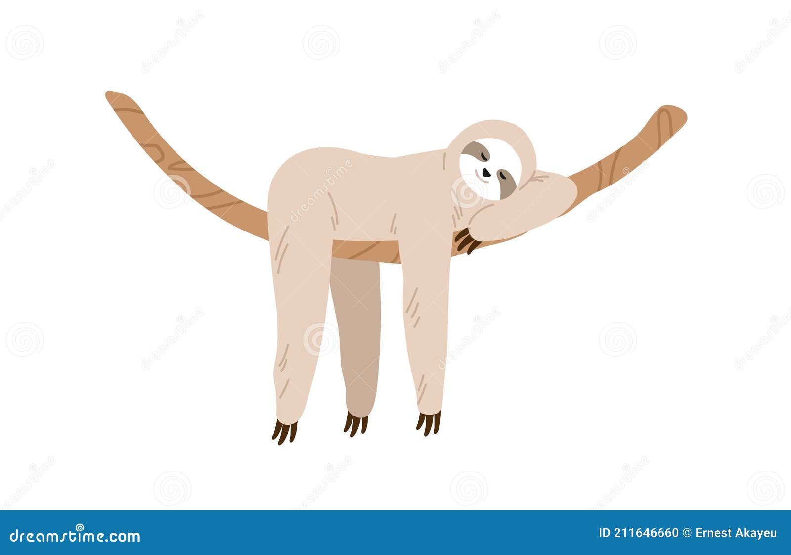 Cute and Funny Sloth Hanging on Tree Branch and Sleeping. Slow and Lazy  Animal Relaxing on Liana Stock Vector - Illustration of graphic, isolated:  211646660