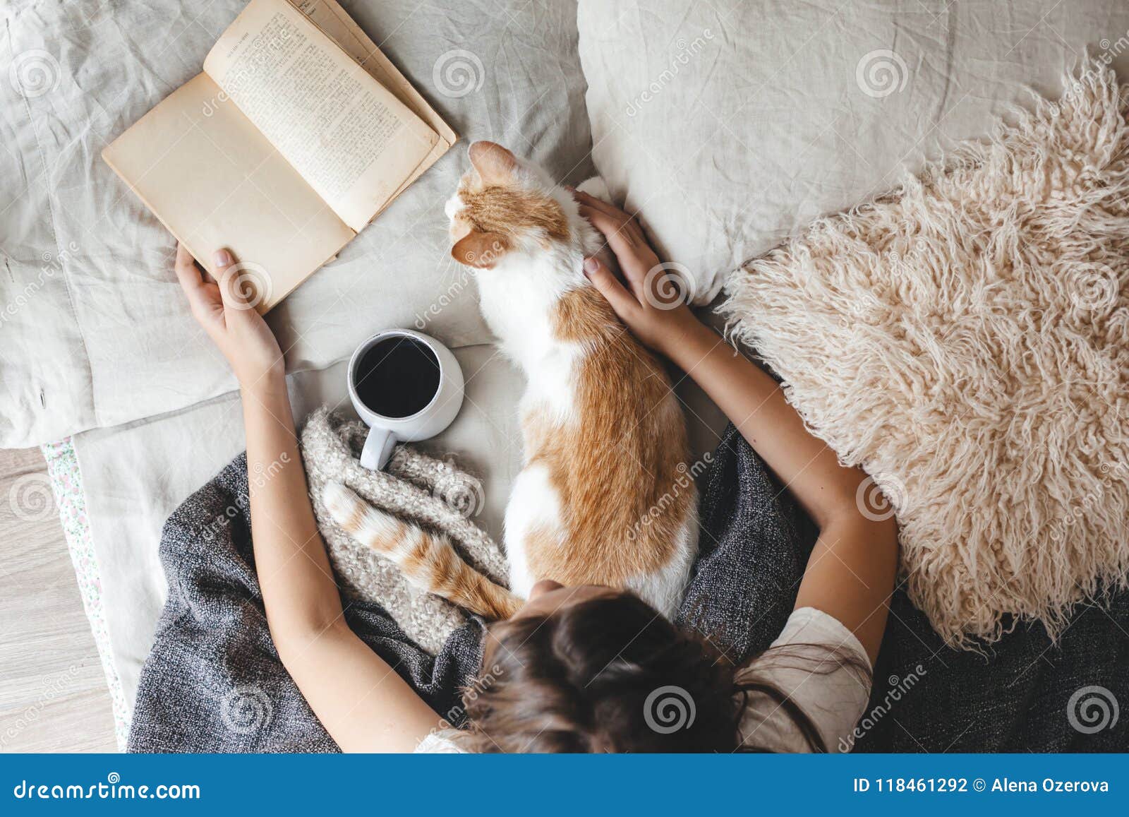 hygge concept with cat, book and coffee in the bed