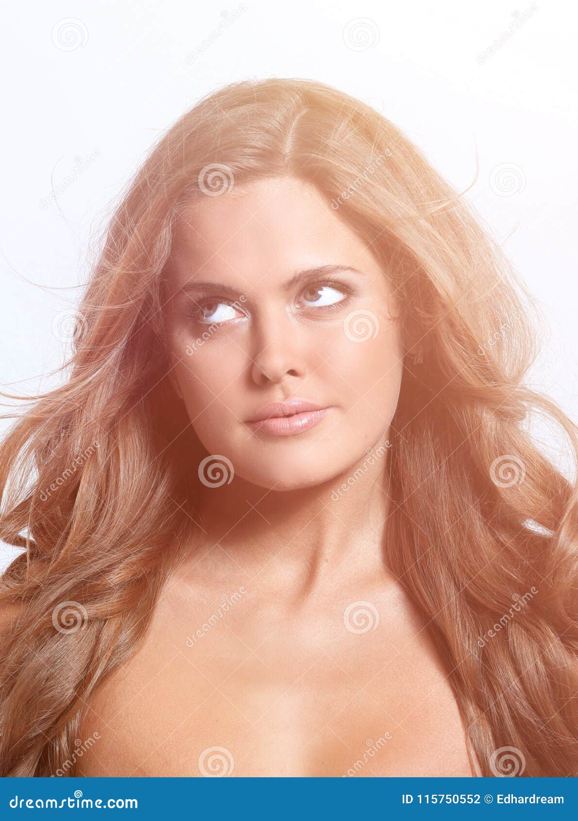 Beauty Woman Face Close Up Portrait Gray Studio Background Stock Photo Image Of Brunette
