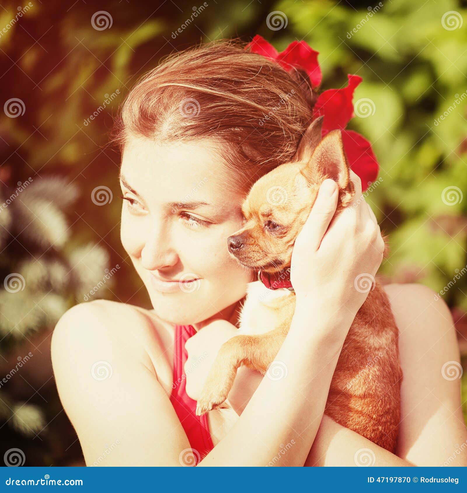 Cute Girl And Her Chihuahua Dog On Nature Background Stock Photo