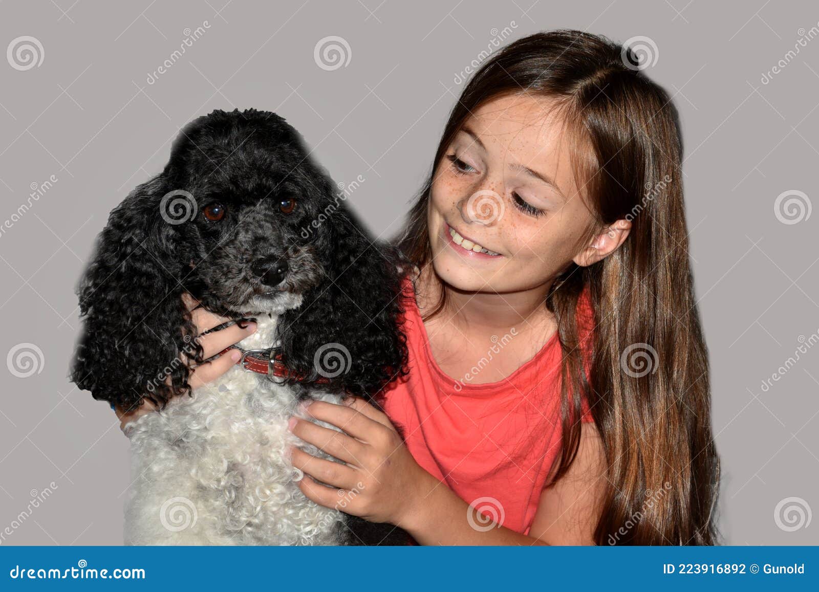 Cute Girl and Her Harlequin Poodle Stock Photo - Image of friend ...