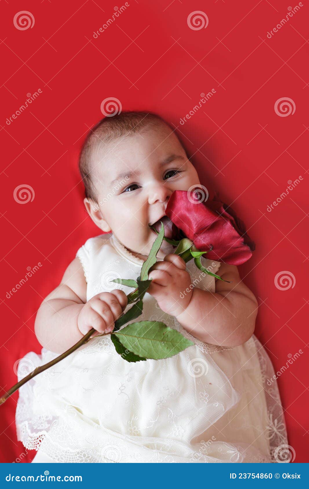 Cute girl with red rose stock photo. Image of childhood 23754860