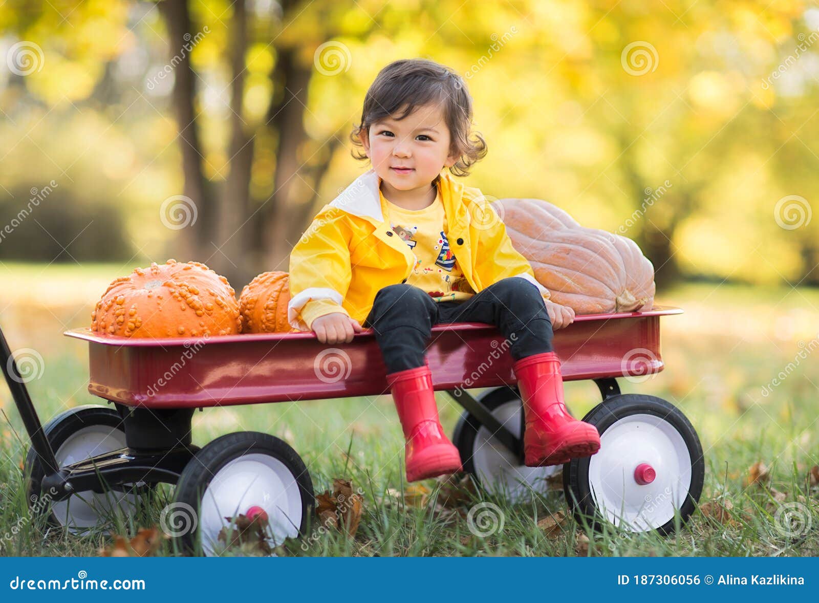 Yellow Raincoat, Red Rubber Boots 