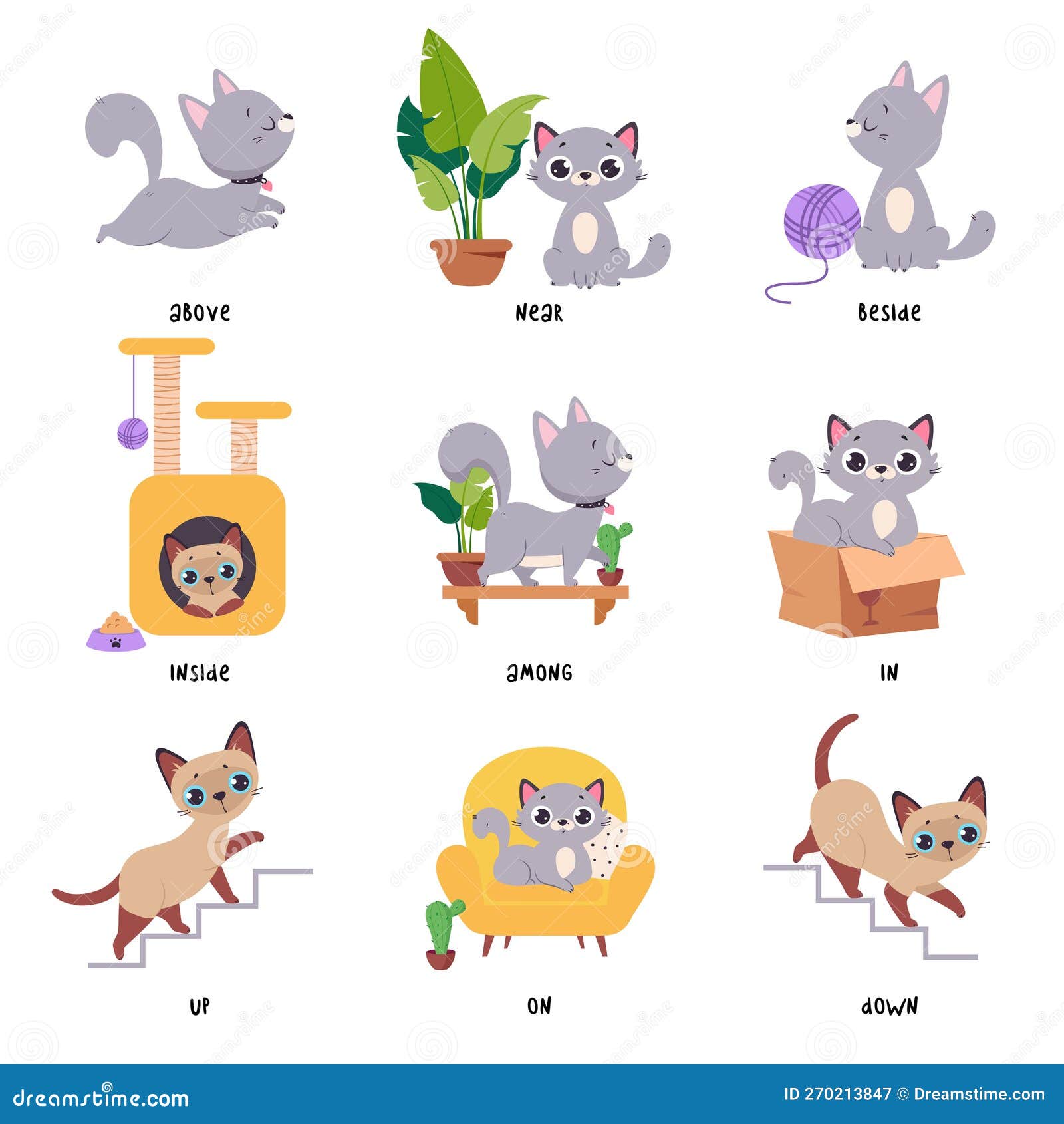 Cute Grey Cat Demonstrating Prepositions with Different Object Vector