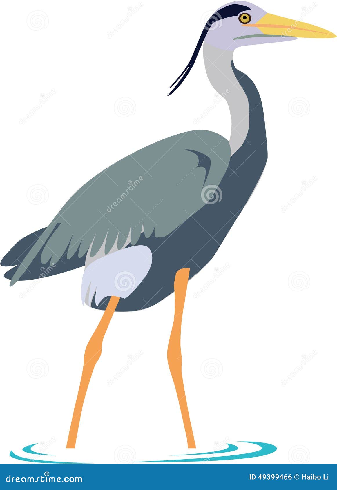 Cute grey heron vector stock vector. Illustration of bird - 49399466