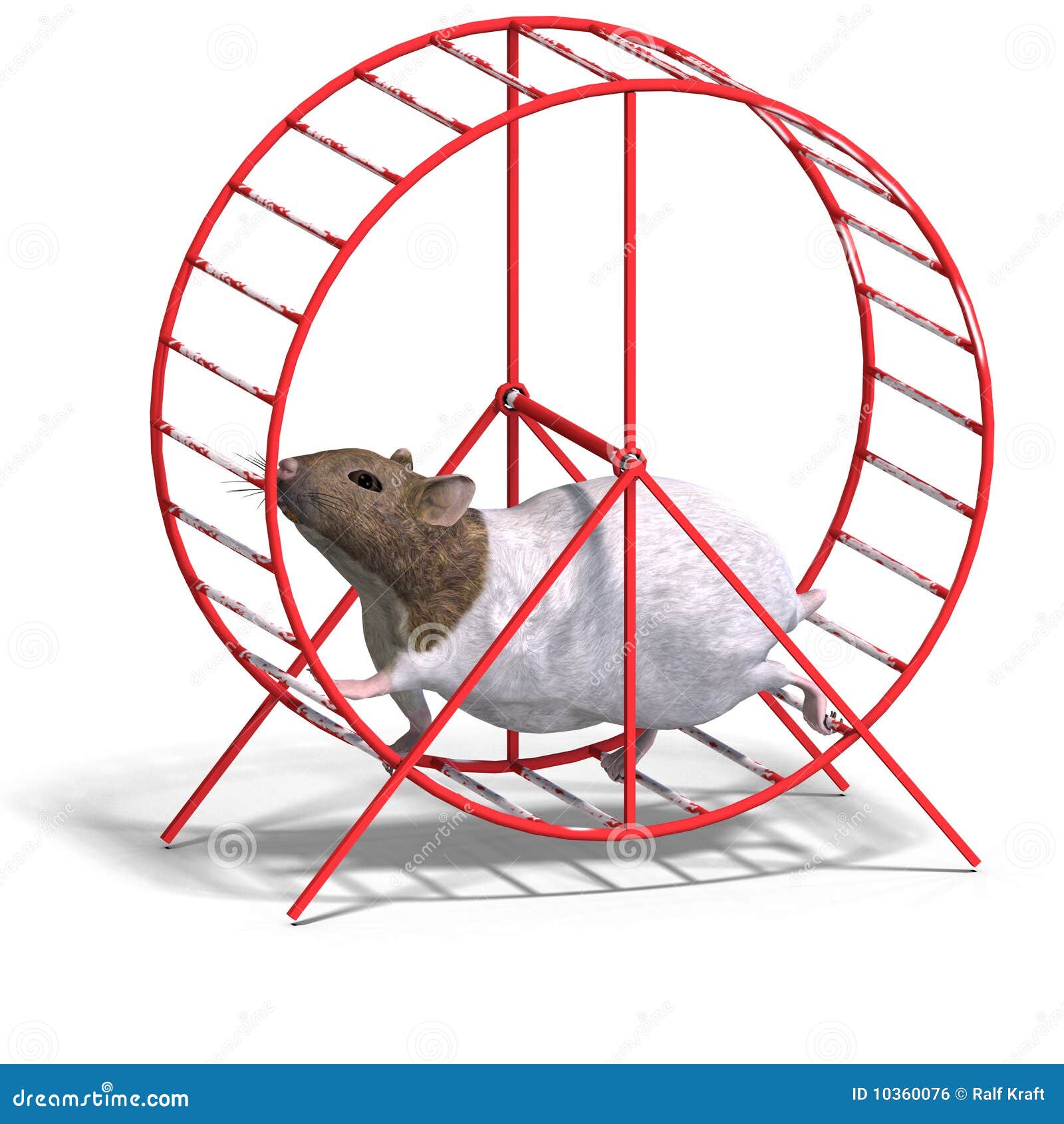 Cute Hamster in a Hamster Wheel Stock Illustration Illustration of