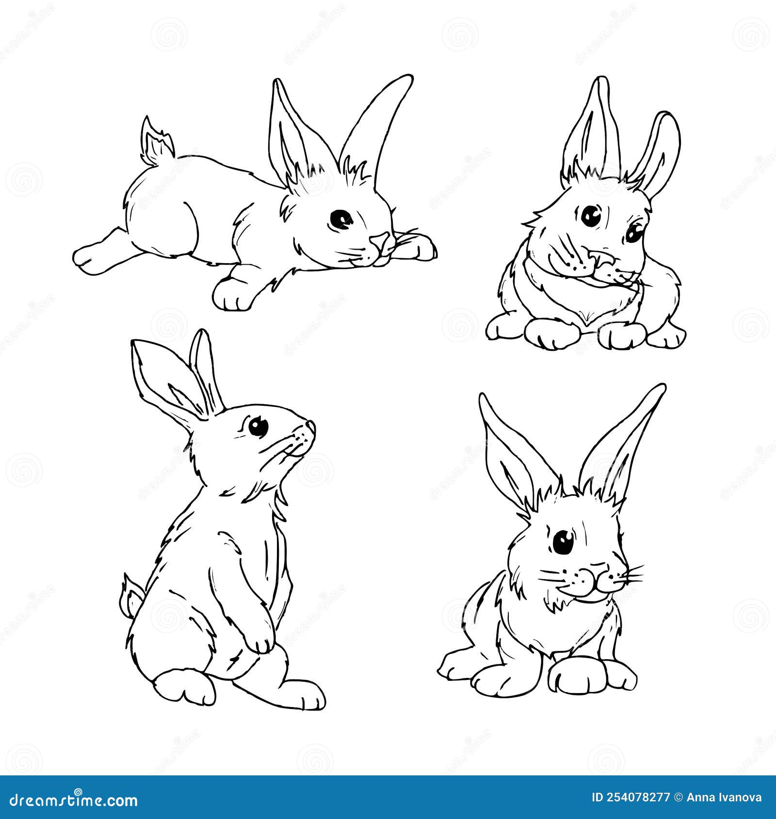 Cute Hand Draw Rabbit in Different Poses. Set of Illustrations of Bunny
