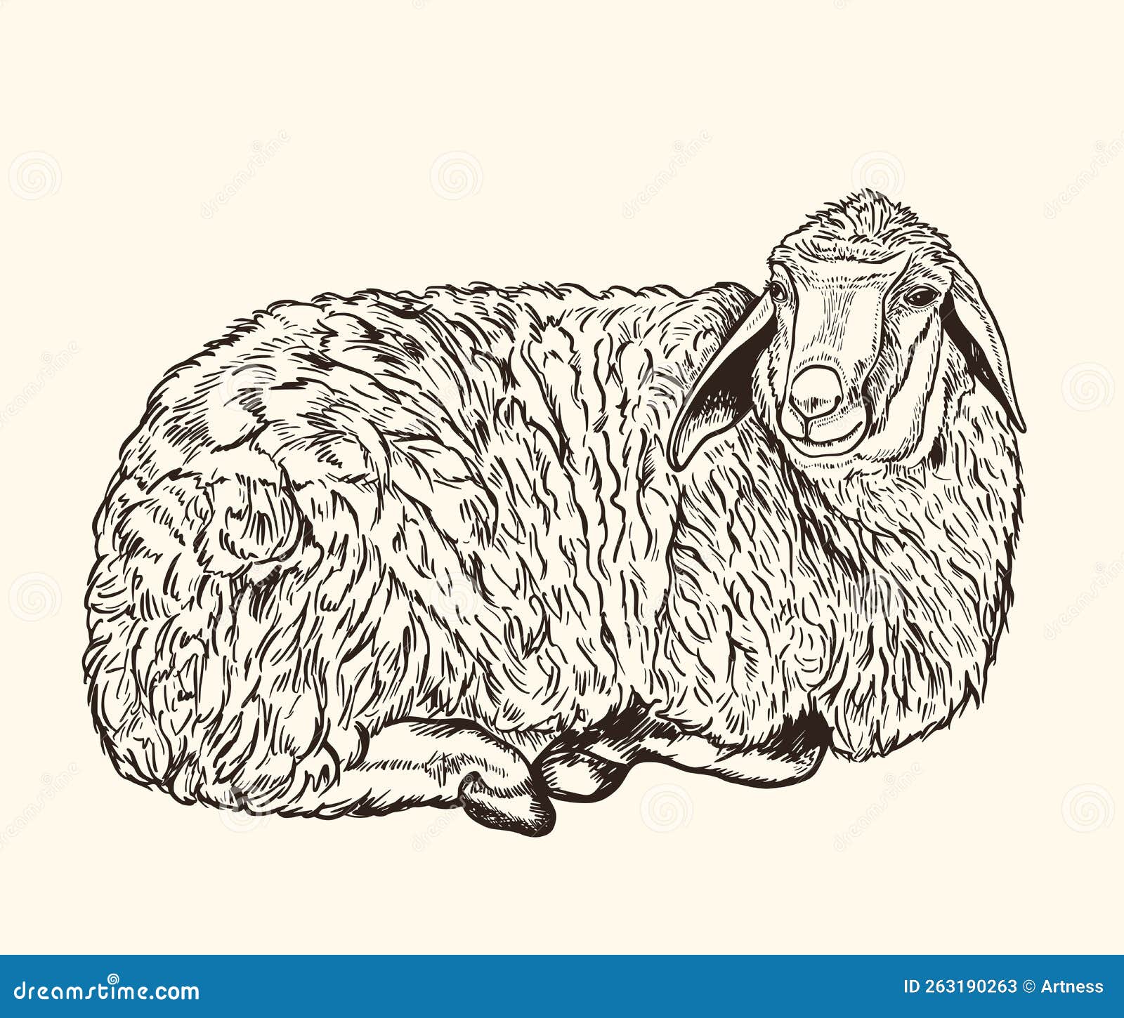 Cute Hand Drawn Lamb, Vector Illustration Stock Vector Illustration