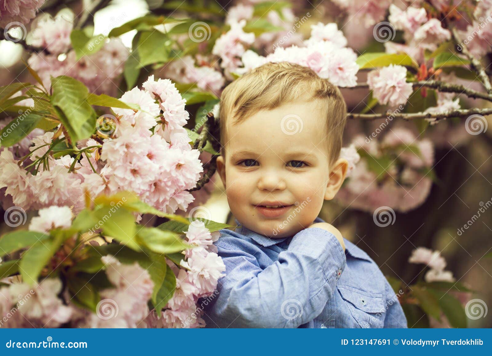 Download Cute Baby Boy Among Pink Blossoming Flowers Stock Image ...