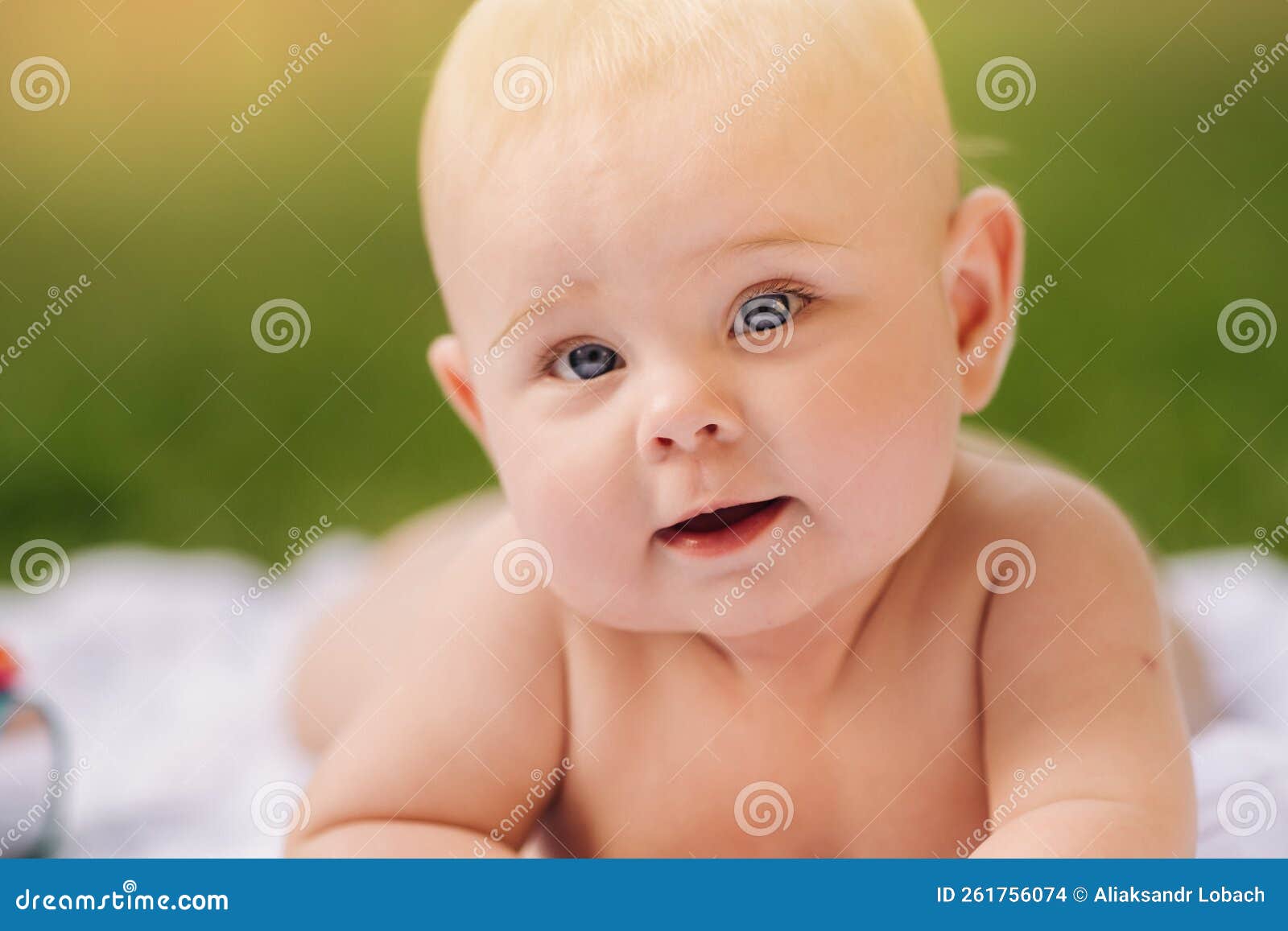 Cute Happy Toddler Lying on a Blanket on the Grass Outdoors in Summer
