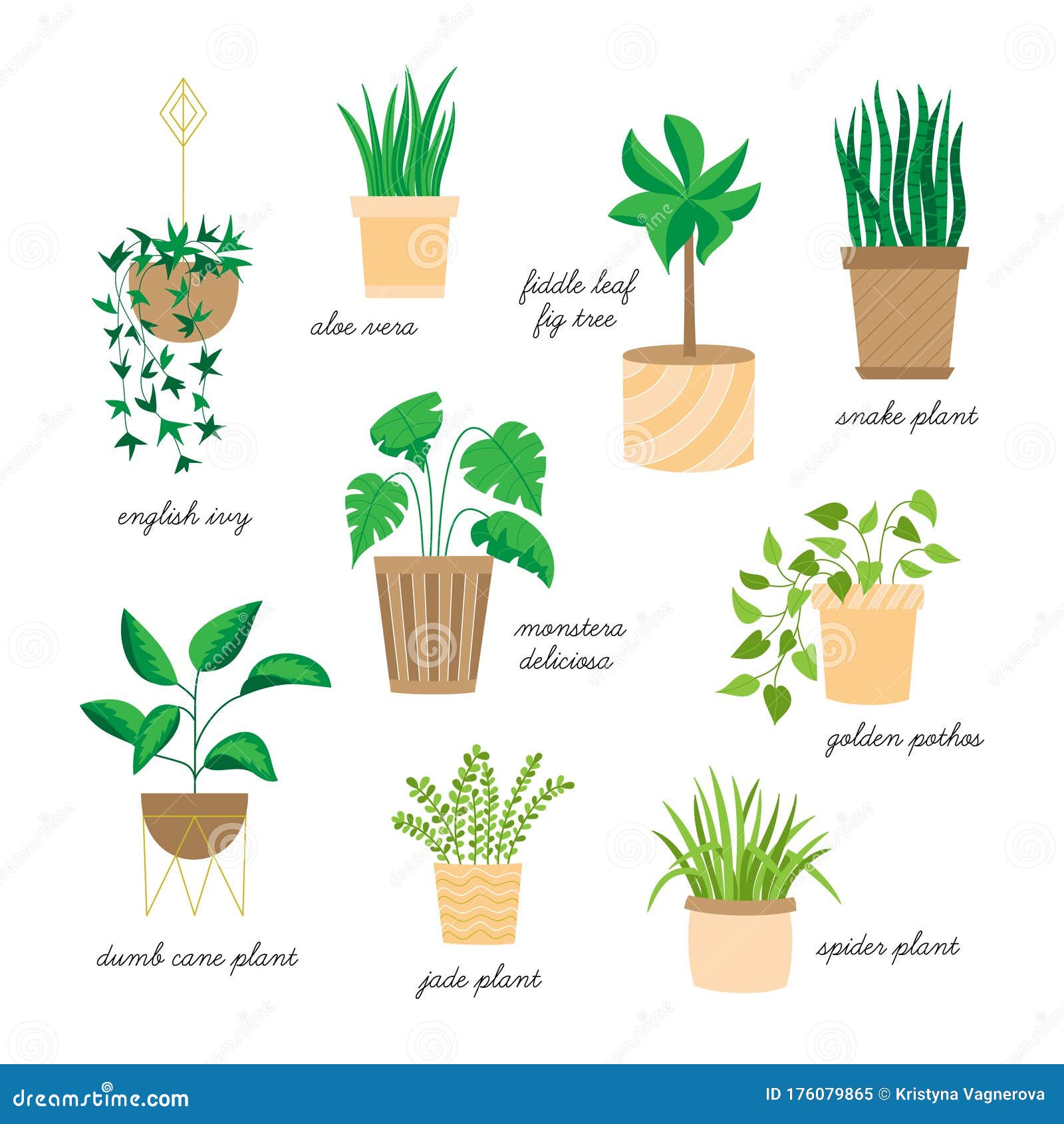 Simple Plant Drawings potted-plants-illustration-house-plants-15341583-png