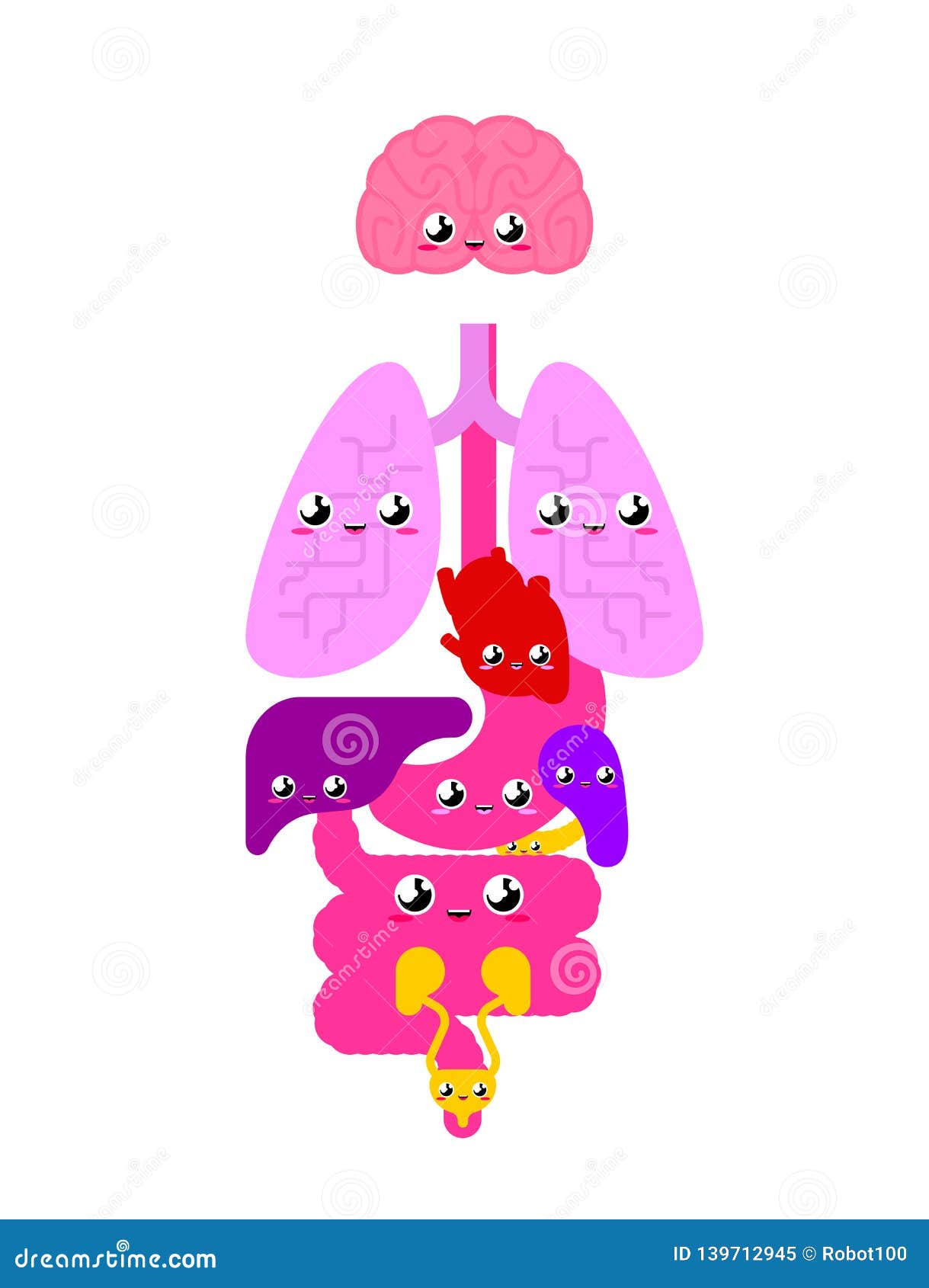 Cute Human Anatomy Organs Internal. Cartoon Style Systems of Man Body and  Organs. Medical Systems. Kids Character Stock Vector - Illustration of  character, cute: 139712945