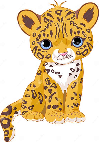Cute Jaguar Cub stock vector. Illustration of indoor - 14956942