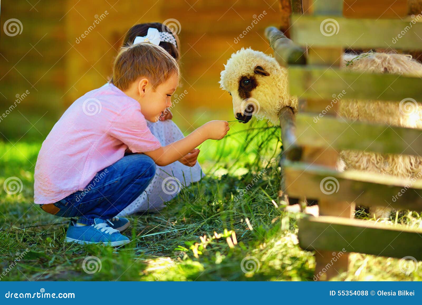 Cute Kids Feeding Lamb with Grass, Countryside Stock Photo Image of grass, farmland 55354088