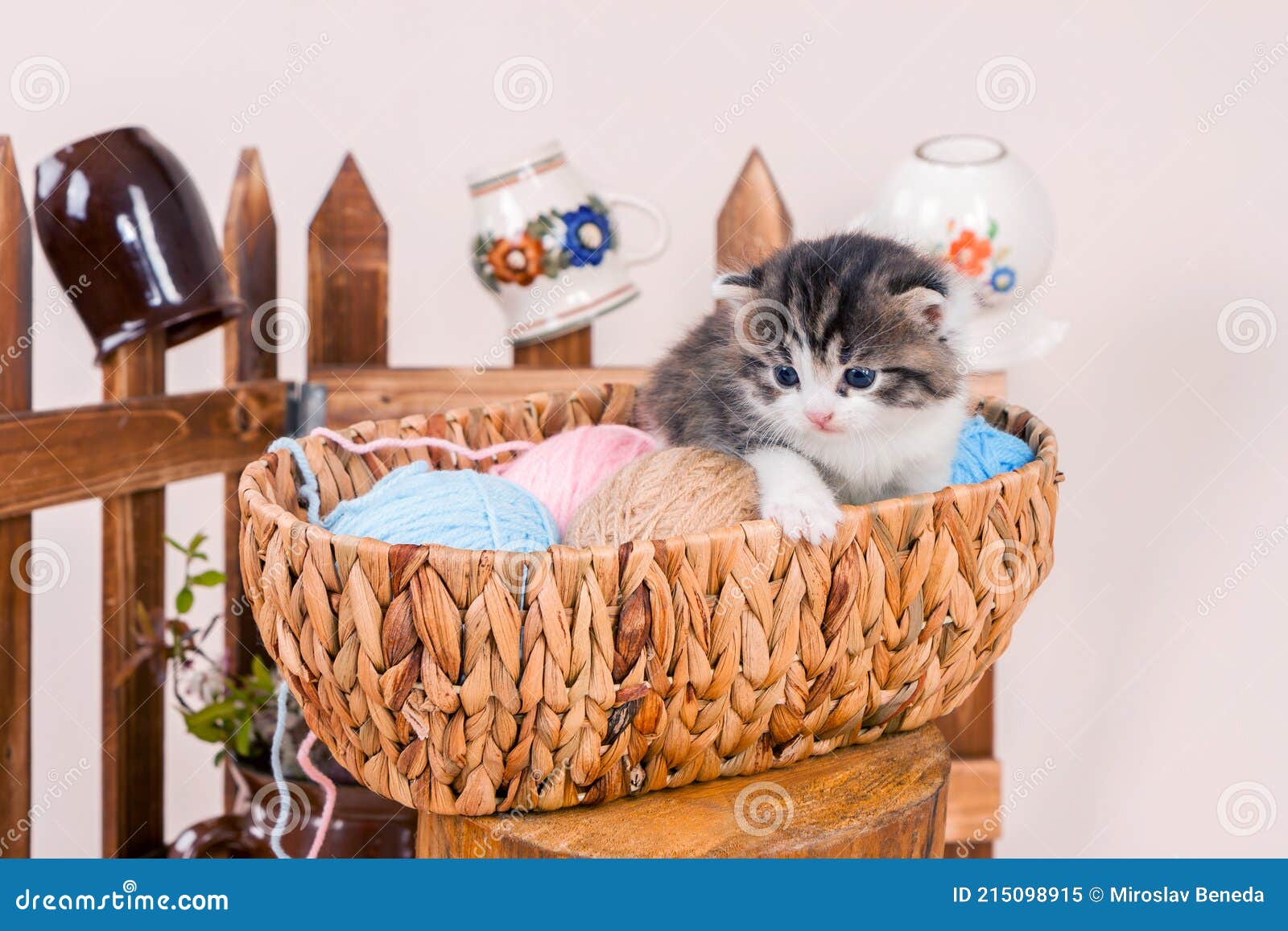 Cute Kitten Sitting in a Basket with Balls of Cotton Balls Stock Image