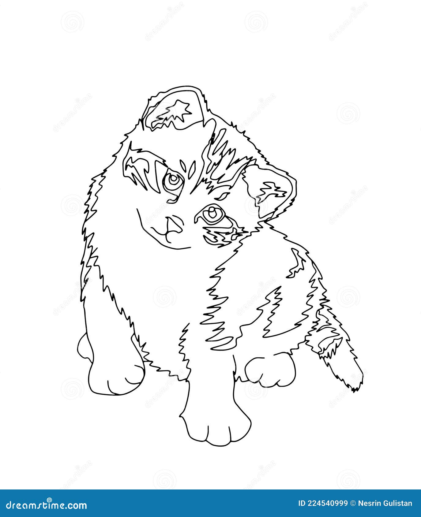 cute kitty pet   animal  animals  pet  cat , kitty , cute , pattern , coloring , coloring page , print