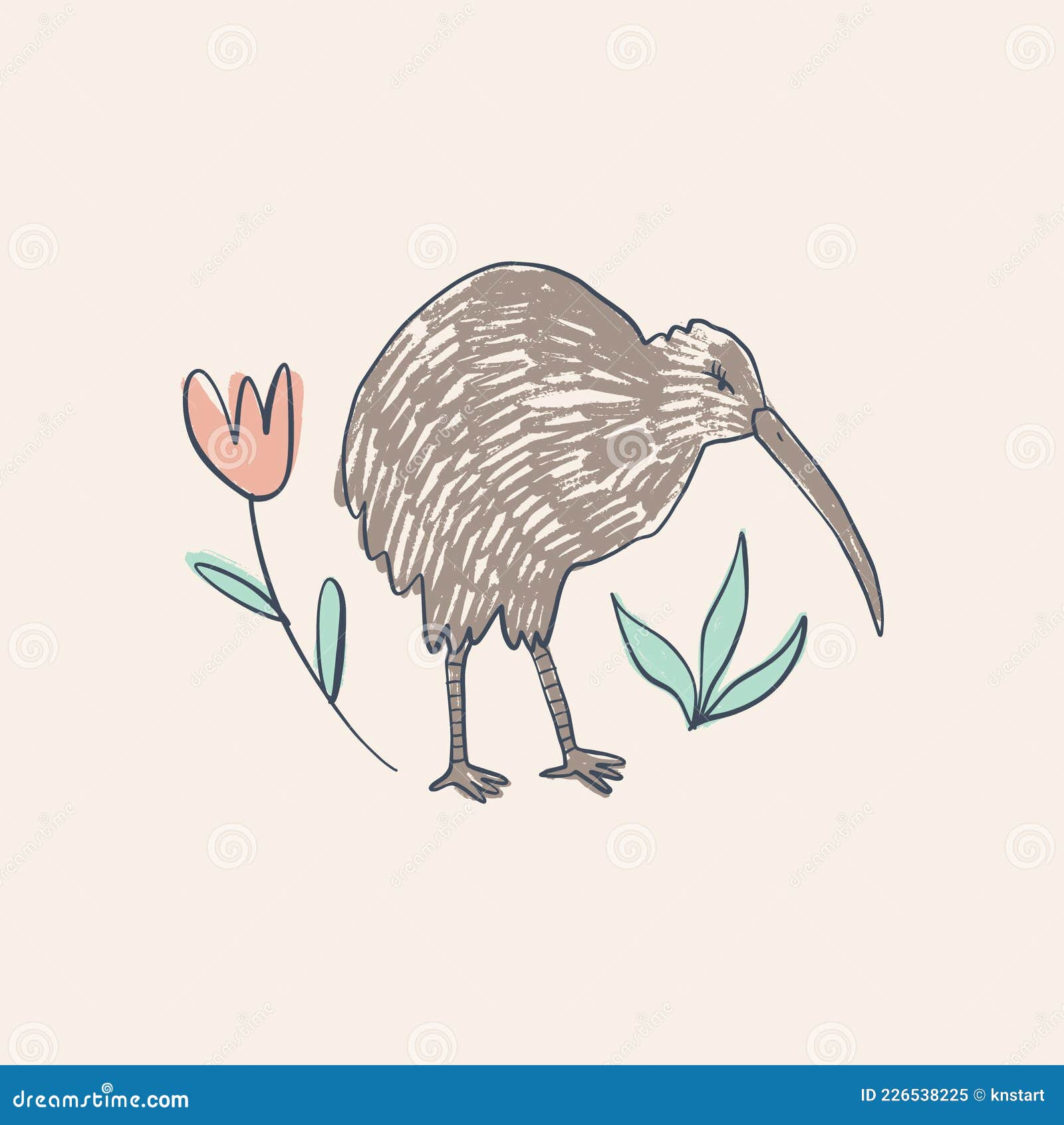 Cute Kiwi Bird Animal Doodle Kids Style Drawing. Stock Vector - Illustration of animal, doodle: