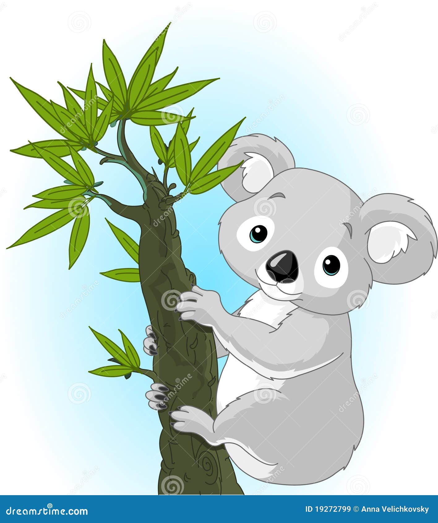 cute koala clipart - photo #38
