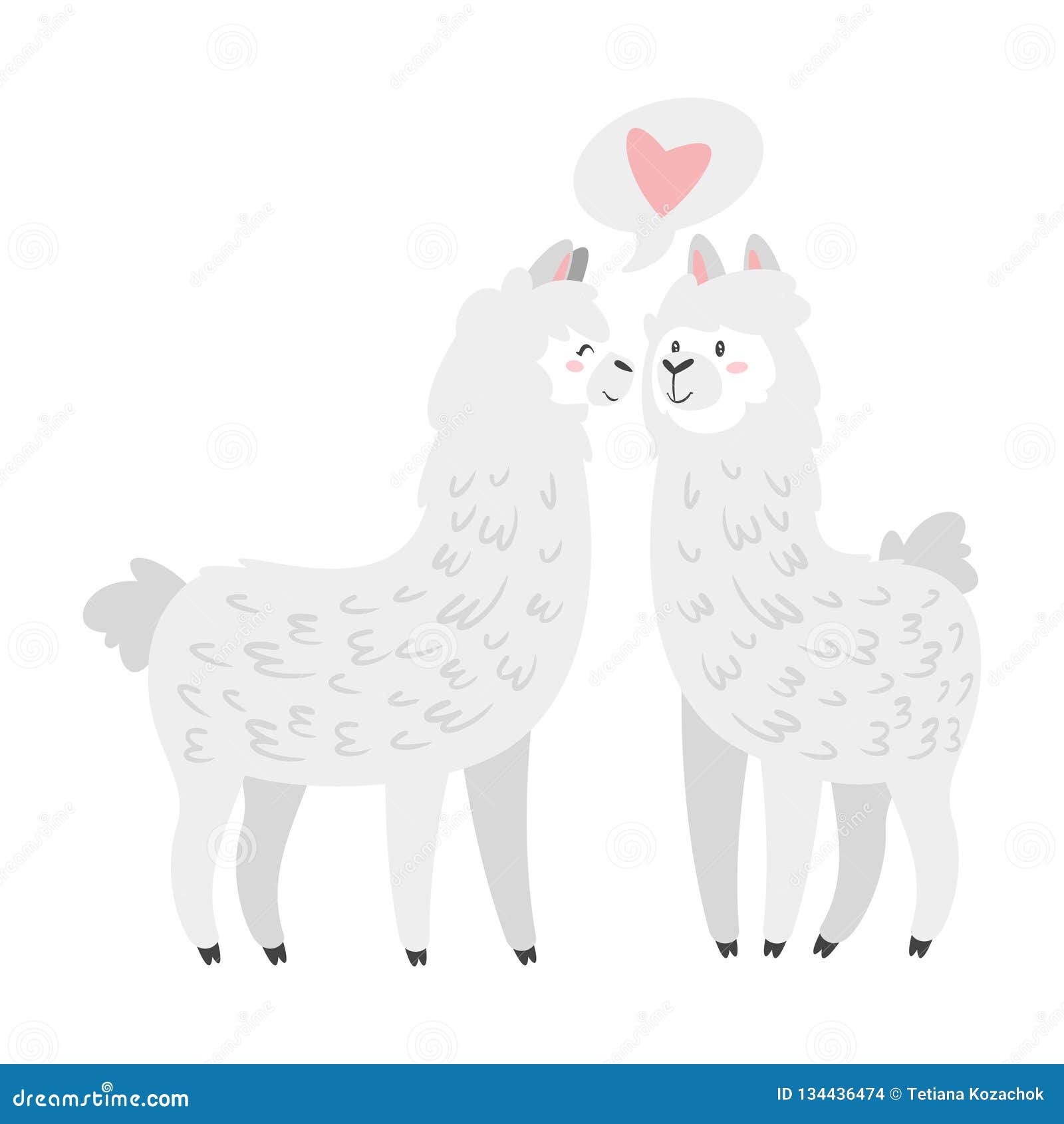 cute lama. alpaca animal