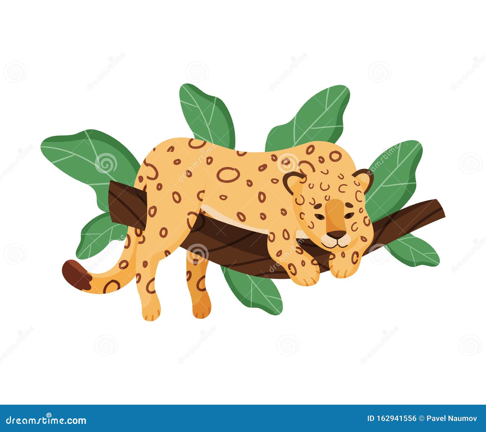 Leopard Branch Stock Illustrations – 774 Leopard Branch Stock  Illustrations, Vectors & Clipart - Dreamstime